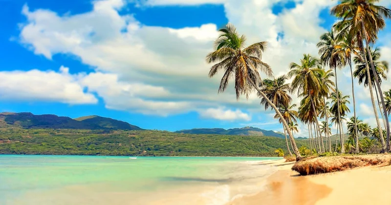 Mon top des plages à ne pas manquer en 2026